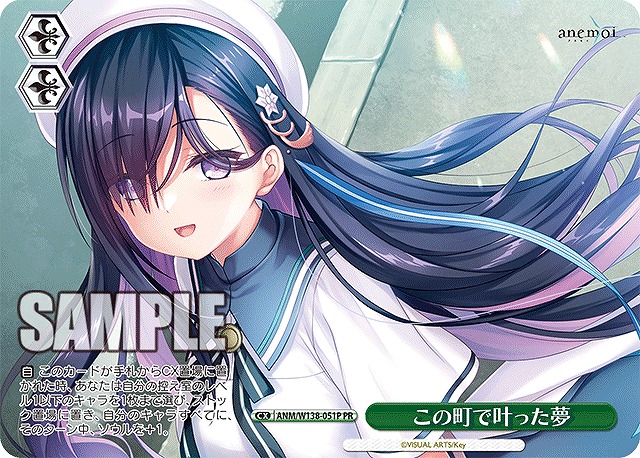 この町で叶った夢 (PR) 【ANM/W138-051PR】